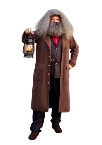 plus size halloween costumes
