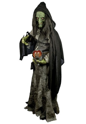 Premium Evil Green Witch Costume for Adults Premium Evil Green Witch Costume for women