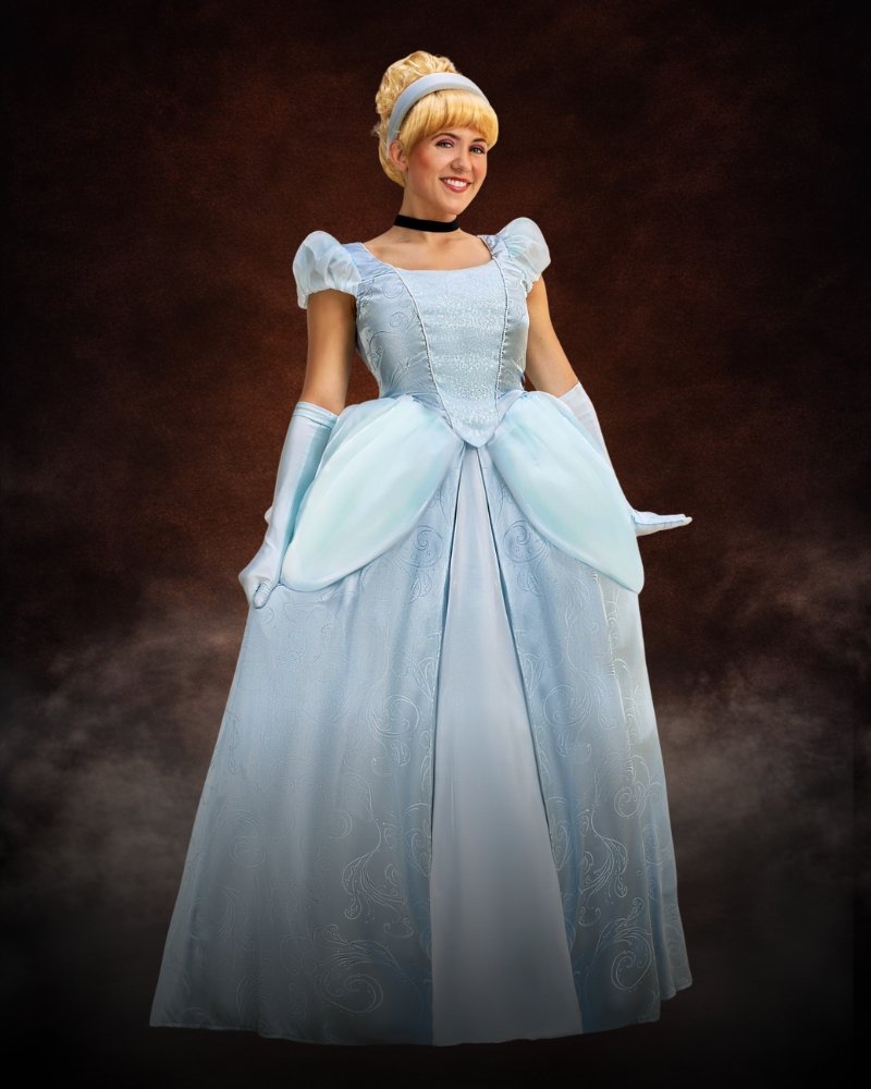 cinderella costume women disney premium princess halloween gown