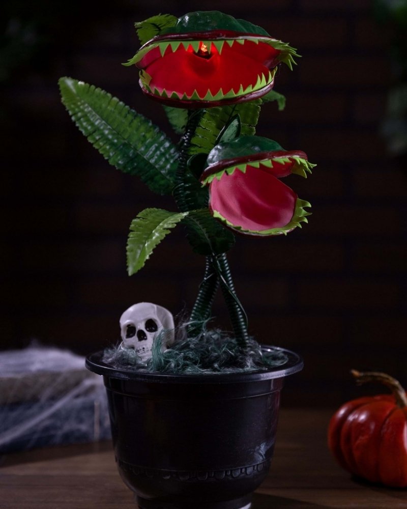 Dancing corpse flower Halloween plant decoration with skull planter