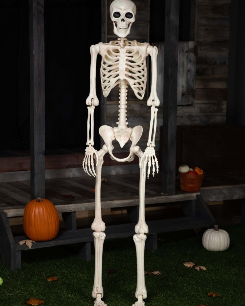 Life-size white skeleton Halloween decoration standing outdoors