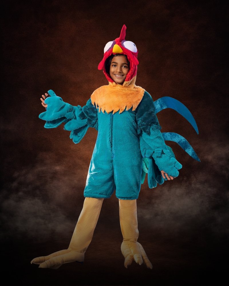 Disney Moana Hei Hei Costume for Boys featuring colorful feathered jumpsuit, character hood, stuffed bird feet, and tropical rooster details.